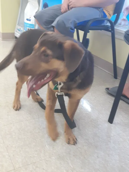 Heartland Veterinary Care Picture 3