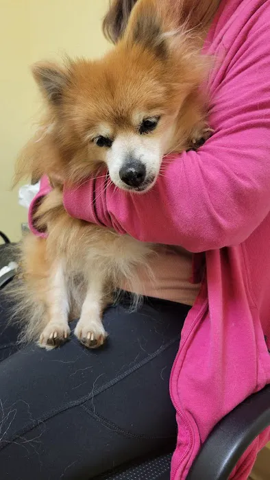 Heartland Veterinary Care Picture 6