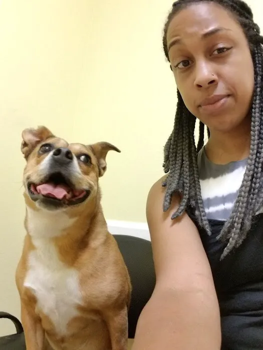 Heartland Veterinary Care Picture 5