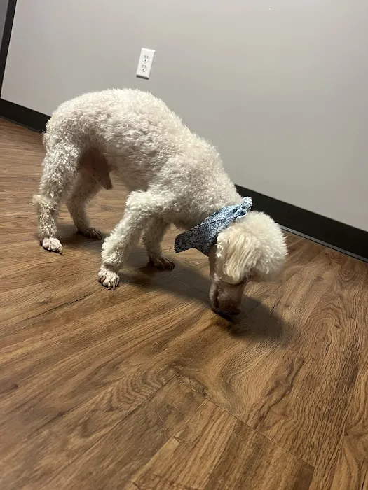 Martin Veterinary Hospital, LLC Picture 4