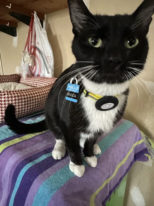 Martin Veterinary Hospital, LLC Picture 3