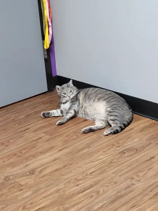 Martin Veterinary Hospital, LLC Picture 9