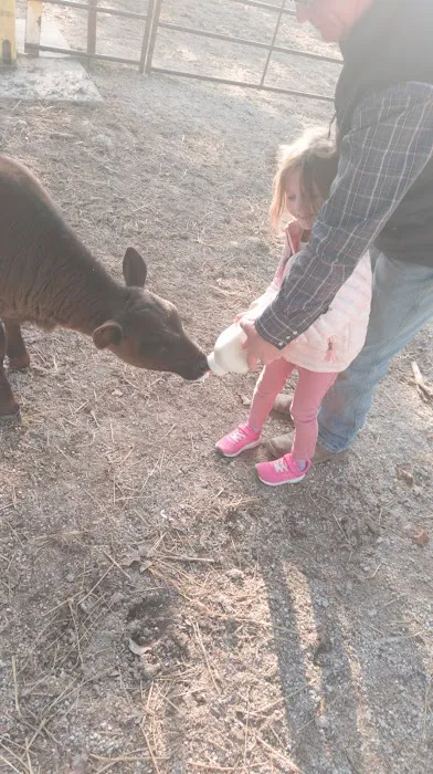 Hillsboro Veterinary Service, LLC Picture 4