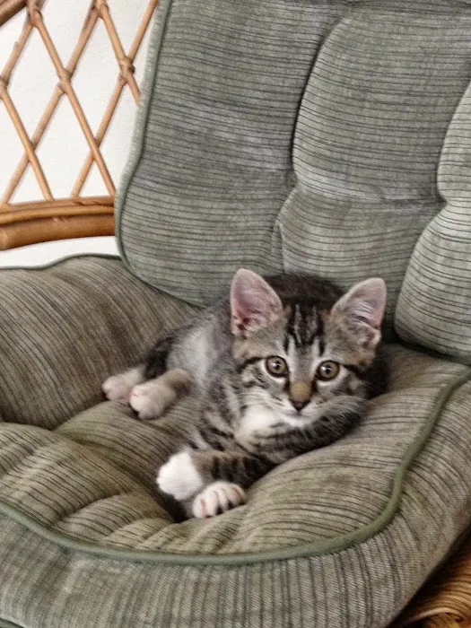 Hillsboro Veterinary Service, LLC Picture 7