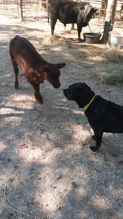 Hillsboro Veterinary Service, LLC Picture 5