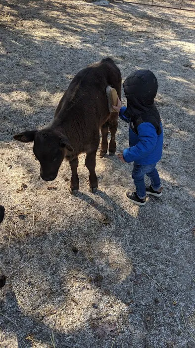 Hillsboro Veterinary Service, LLC Picture 9