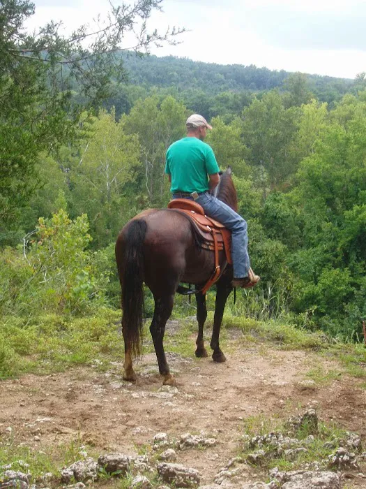 Hillsboro Veterinary Service, LLC Picture 8