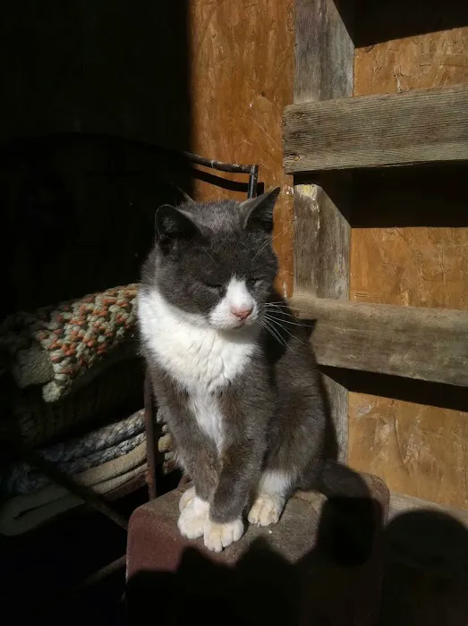 Hillsboro Veterinary Service, LLC Picture 10