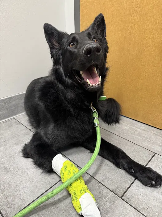 Imperial Animal Hospital, LLC Picture 2