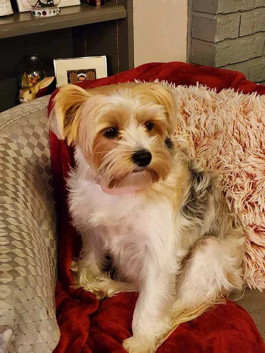 Imperial Animal Hospital, LLC Picture 1