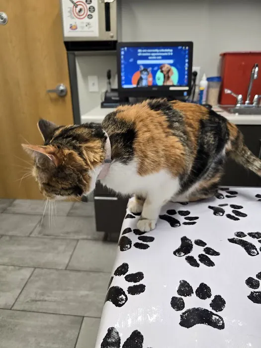 Imperial Animal Hospital, LLC Picture 4