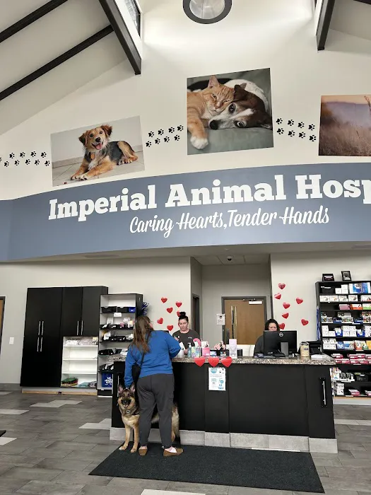 Imperial Animal Hospital, LLC Picture 6