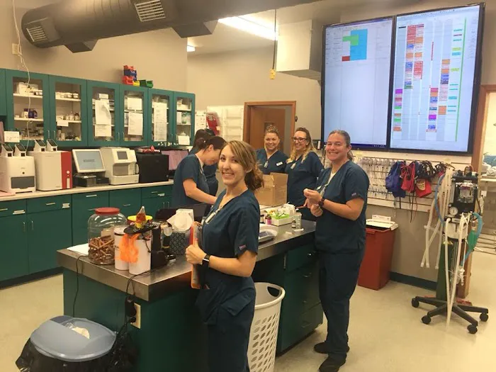 Imperial Animal Hospital, LLC Picture 10