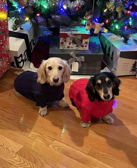 Imperial Animal Hospital Pet Lodge and Grooming Picture 2