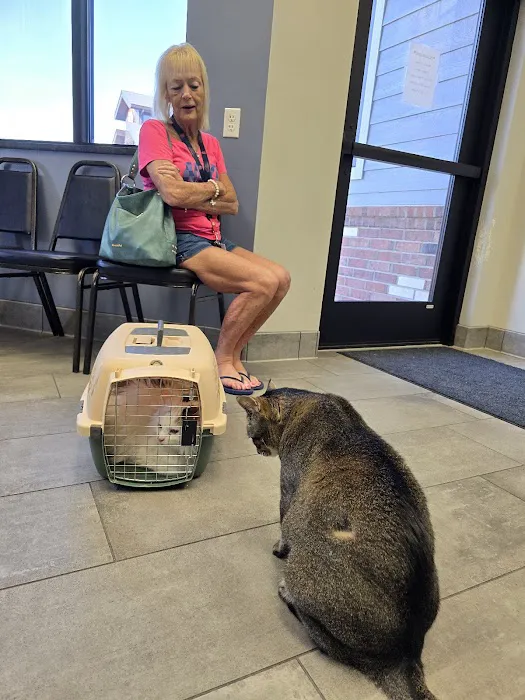 Imperial Animal Hospital Pet Lodge and Grooming Picture 6