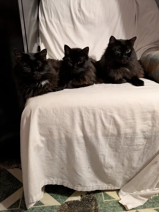 Animal Medical Ctr of Park Hills Picture 2