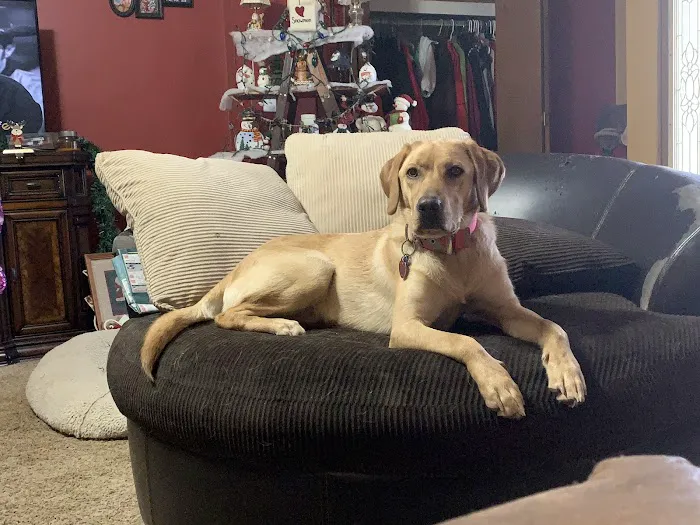 Animal Medical Ctr of Park Hills Picture 5