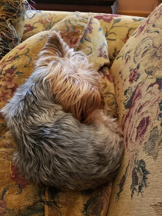 Animal Medical Ctr of Park Hills Picture 8