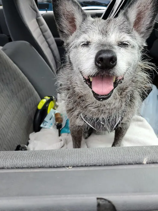 Weber Road Veterinary Clinic Picture 1