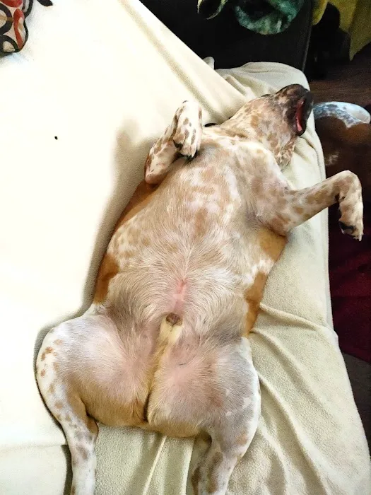 Weber Road Veterinary Clinic Picture 4