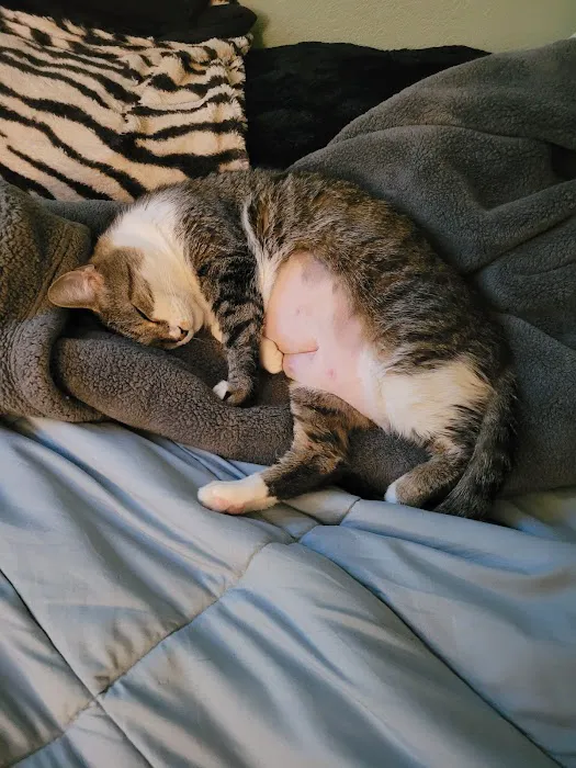 Weber Road Veterinary Clinic Picture 9