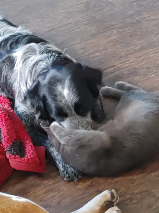 Weber Road Veterinary Clinic Picture 5