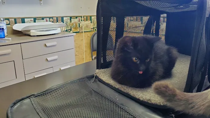 Weber Road Veterinary Clinic Picture 7