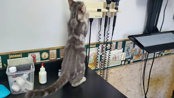 Weber Road Veterinary Clinic Picture 6