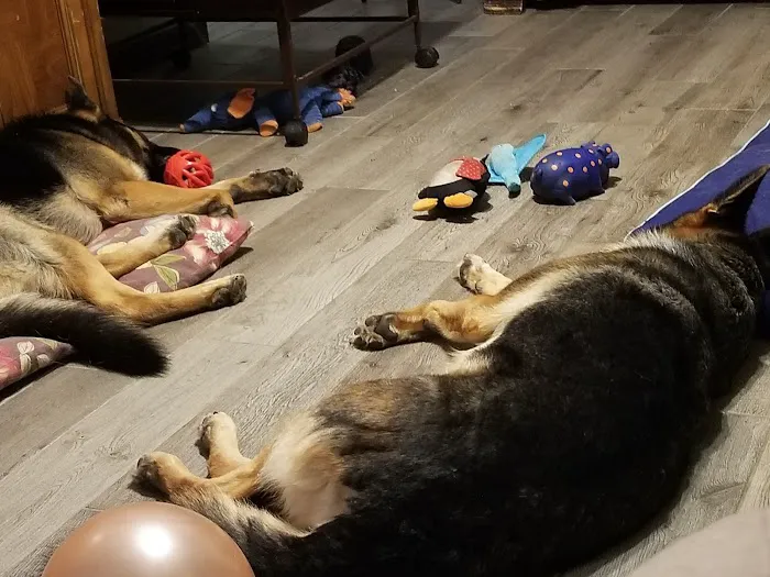 Weber Road Veterinary Clinic Picture 10