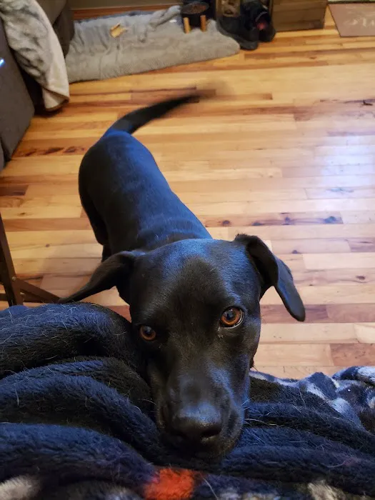 McNeill James DVM Picture 2