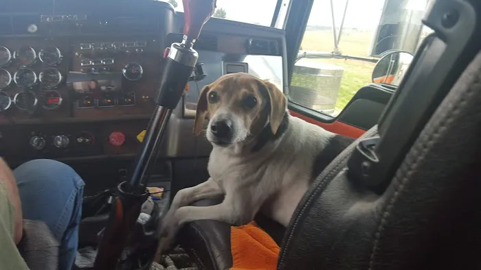 McNeill James DVM Picture 4