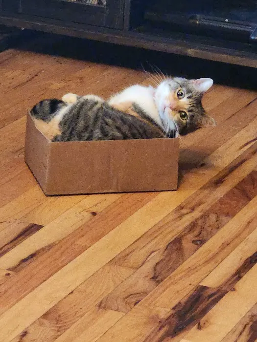 McNeill James DVM Picture 3