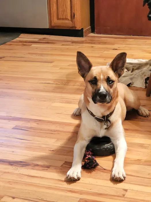 McNeill James DVM Picture 8