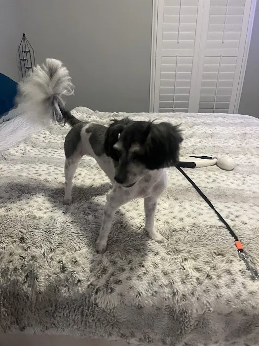 High Ridge Animal Hospital Picture 10