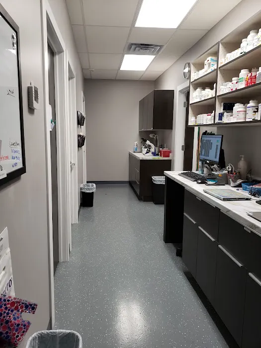 Family Vet of Lake St. Louis Picture 4