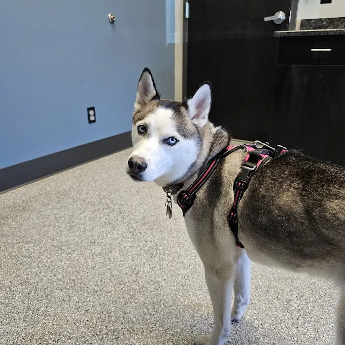 Hawk Ridge Animal Hospital Picture 2