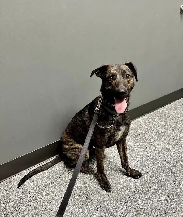 Hawk Ridge Animal Hospital Picture 4