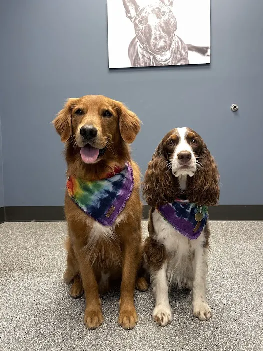 Hawk Ridge Animal Hospital Picture 6