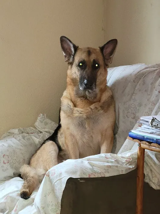 Hawk Ridge Animal Hospital Picture 9