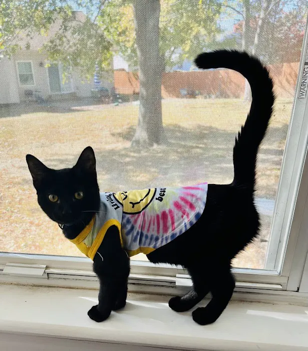 Hawk Ridge Animal Hospital Picture 10