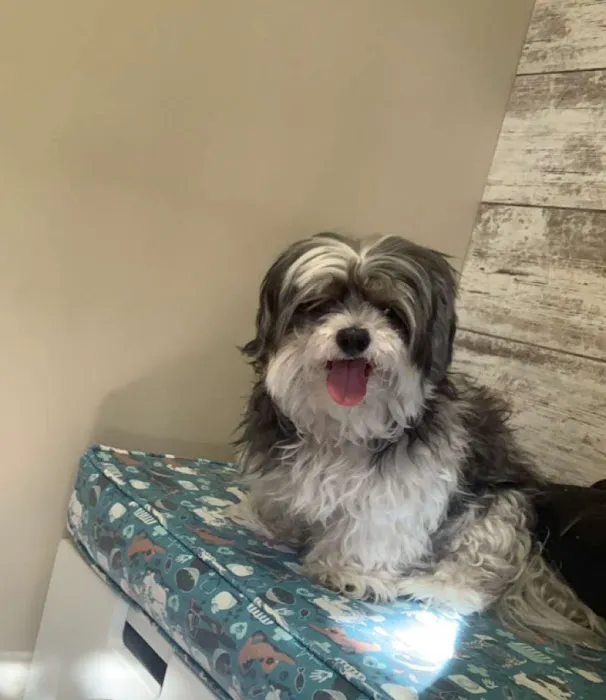 Crossroads Veterinary Hospital Picture 1