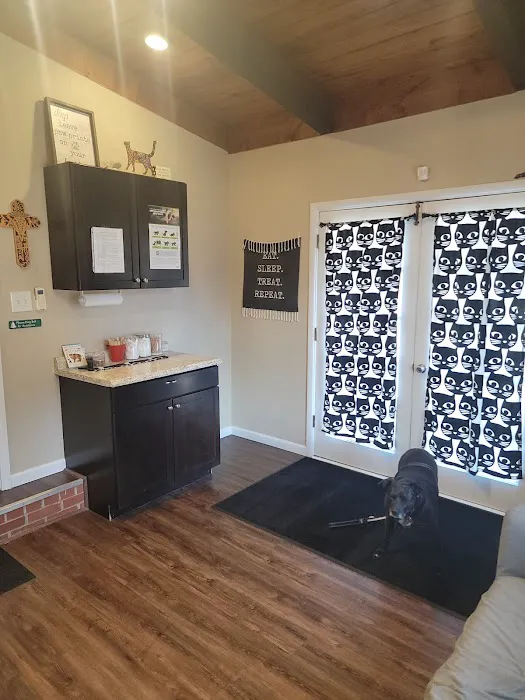 Crossroads Veterinary Hospital Picture 2