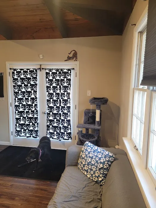 Crossroads Veterinary Hospital Picture 3