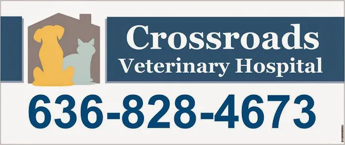 Crossroads Veterinary Hospital Picture 5