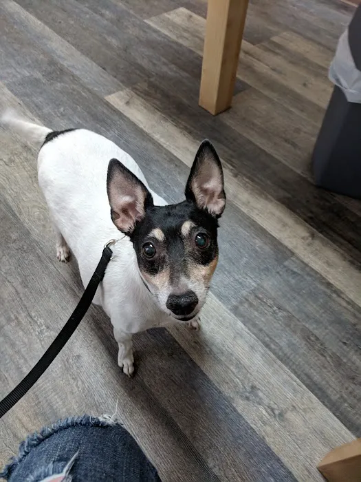 Carter Pet Hospital Picture 5