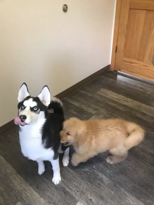 Carter Pet Hospital Picture 7