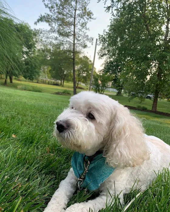 Carter Pet Hospital Picture 6