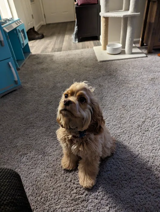 Carter Pet Hospital Picture 8