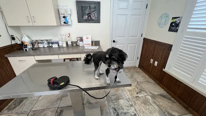 My Vet Animal Clinic Picture 1