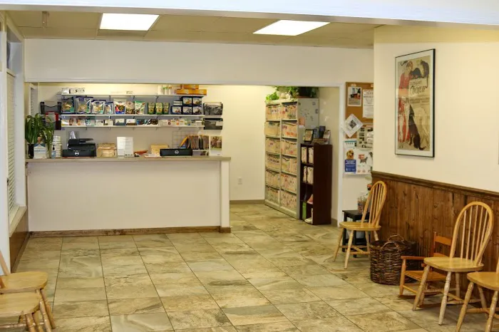 My Vet Animal Clinic Picture 4